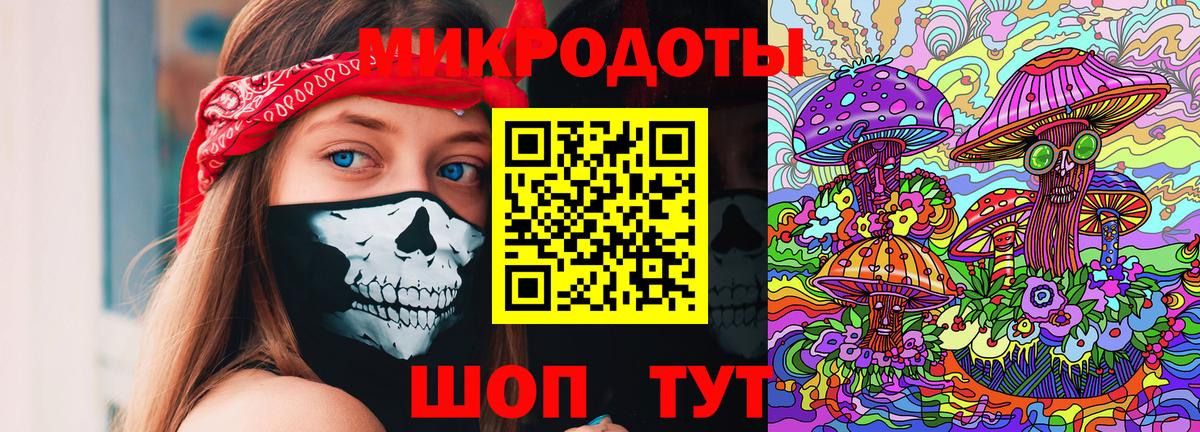 Псилоцибиновые грибы прущие грибы Великие Луки